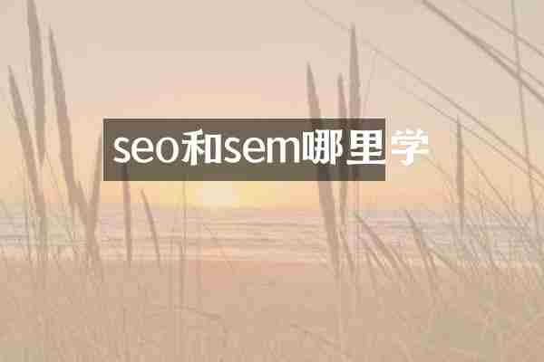 seo和sem哪里学