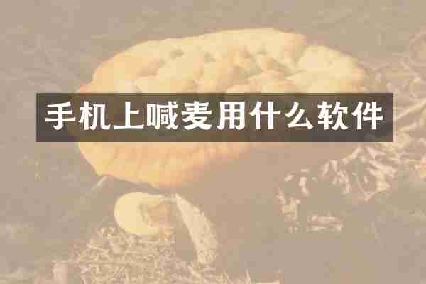 手机上喊麦用什么软件