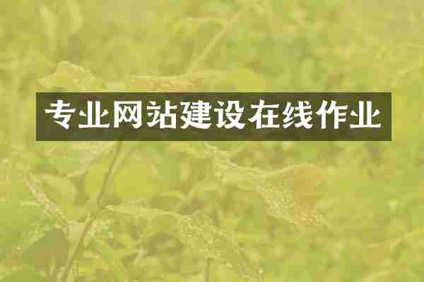 专业网站建设在线作业