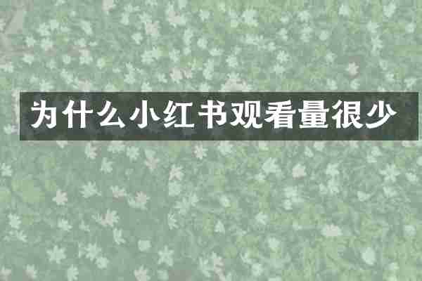 为什么小红书观看量很少