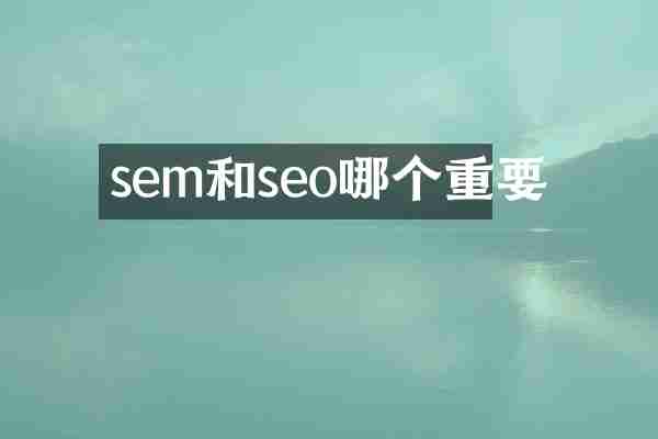 sem和seo哪个重要