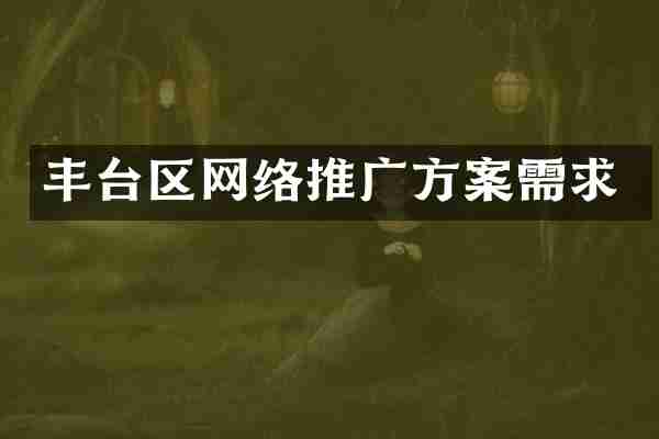丰台区网络推广方案需求
