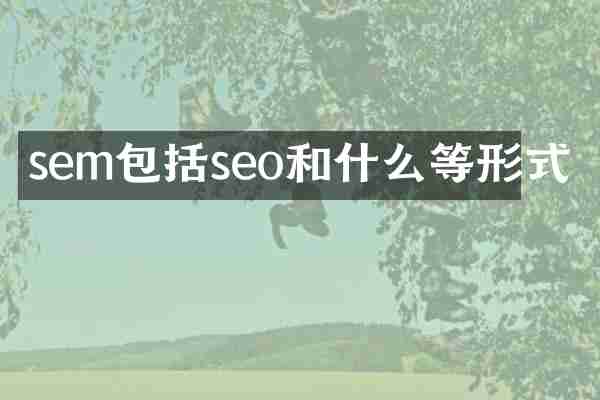 sem包括seo和什么等形式