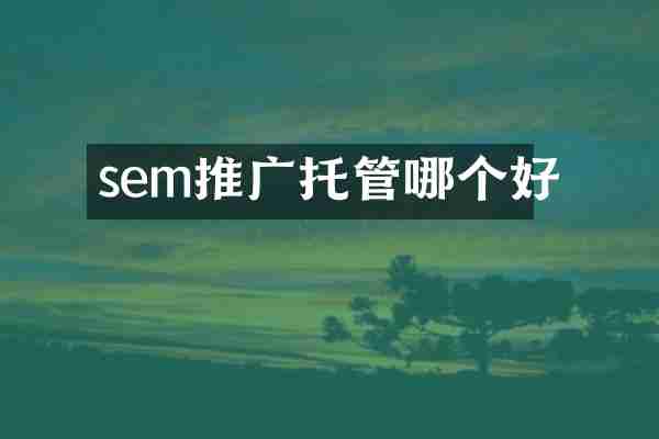 sem推广托管哪个好