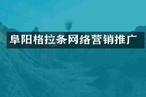 阜阳格拉条网络营销推广