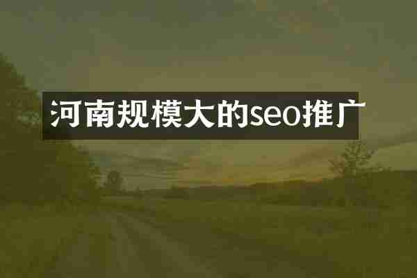河南规模大的seo推广
