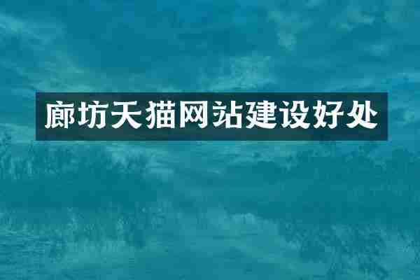 廊坊天猫网站建设好处