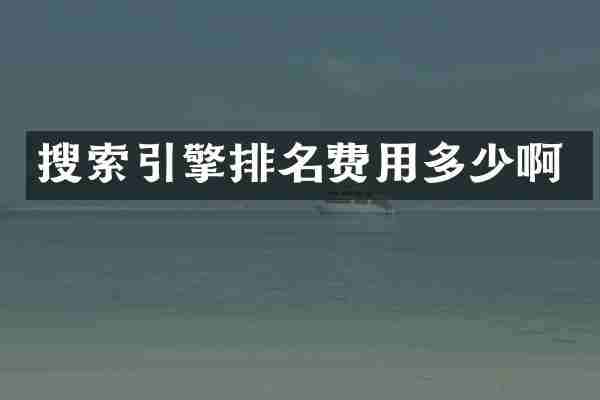 搜索引擎排名费用多少啊