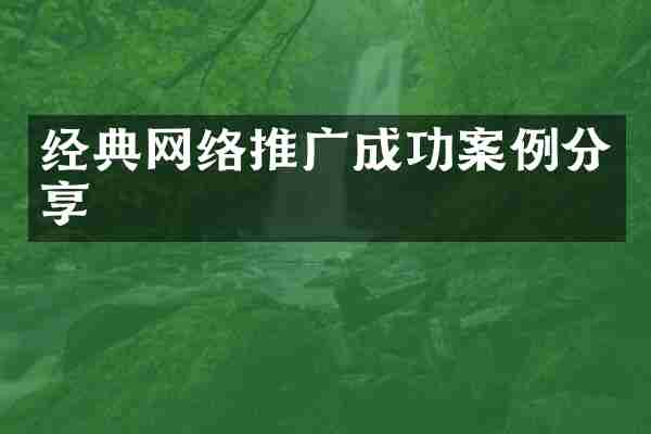 经典网络推广成功案例分享
