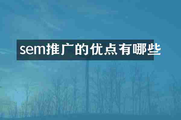 sem推广的优点有哪些