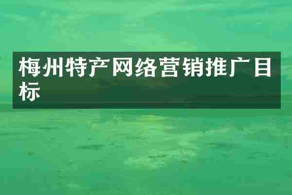 梅州特产网络营销推广目标