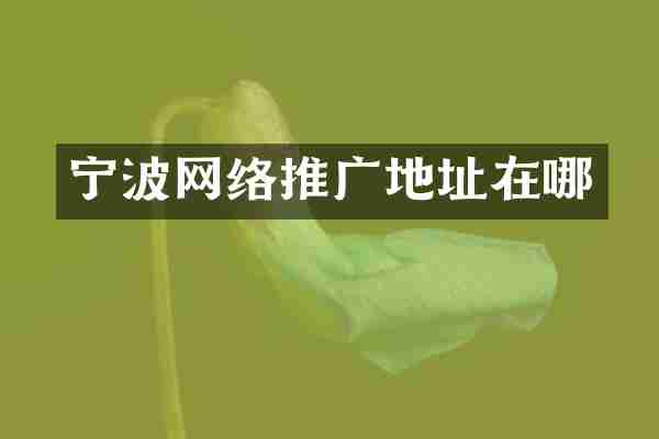 宁波网络推广地址在哪