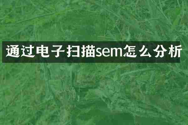 通过电子扫描sem怎么分析