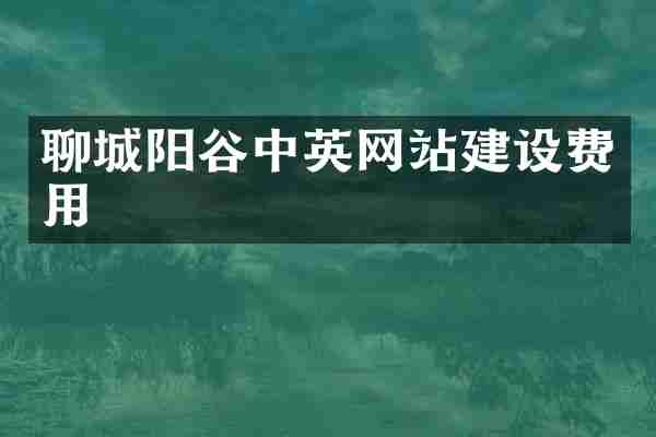 聊城阳谷中英网站建设费用
