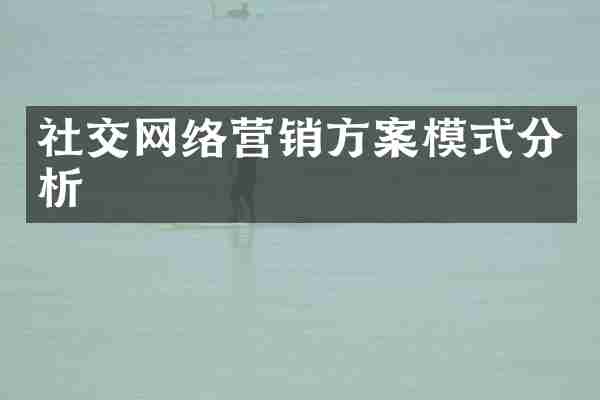 社交网络营销方案模式分析