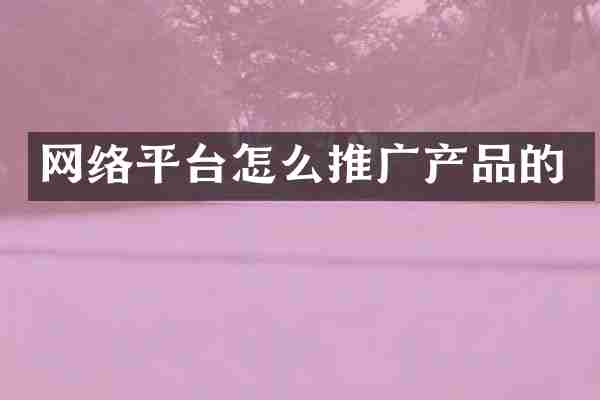 网络平台怎么推广产品的