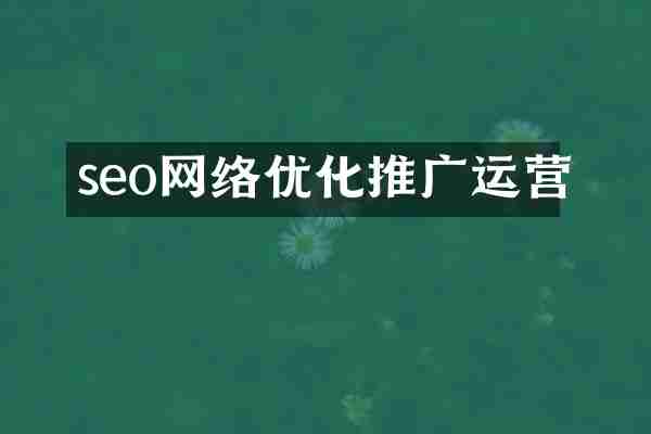 seo网络优化推广运营