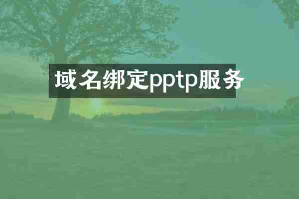 域名绑定pptp服务