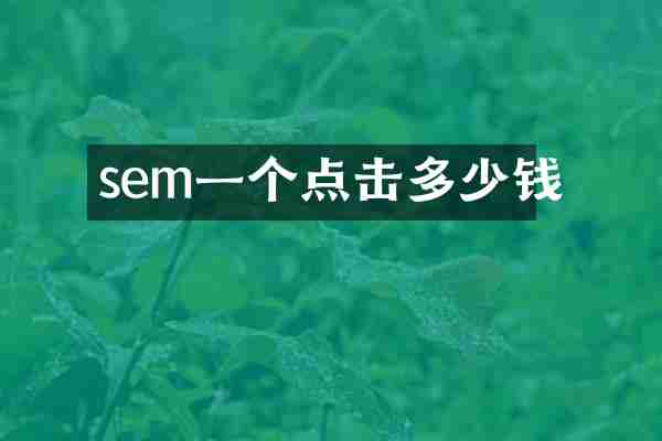 sem一个点击多少钱
