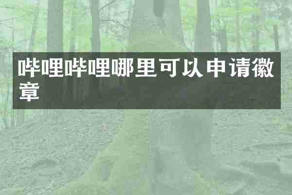 哔哩哔哩哪里可以申请徽章
