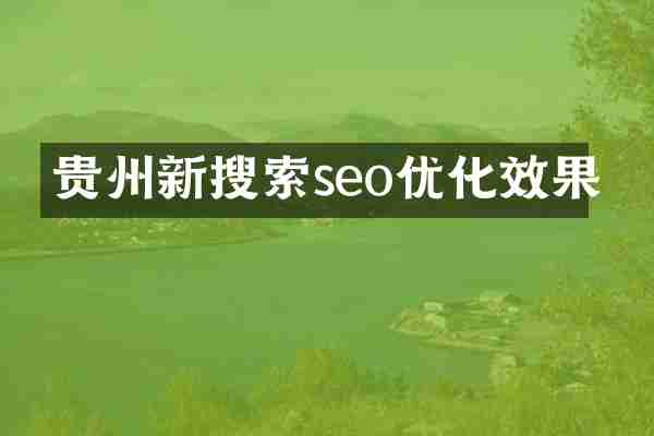 贵州新搜索seo优化效果