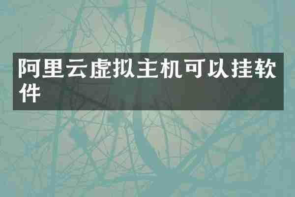 阿里云虚拟主机可以挂软件