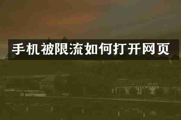 手机被限流如何打开网页