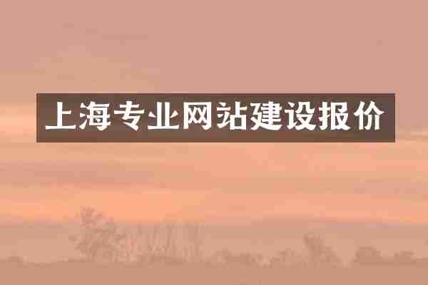 上海专业网站建设报价