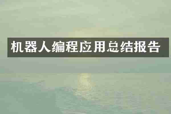 机器人编程应用总结报告