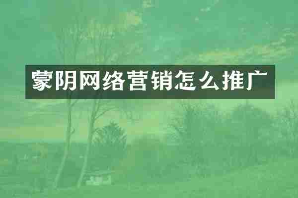 蒙阴网络营销怎么推广