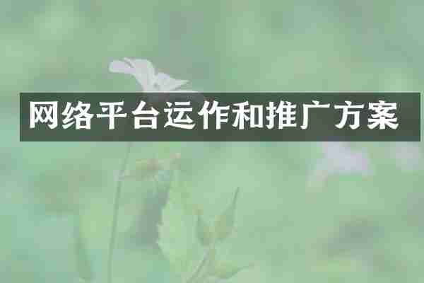 网络平台运作和推广方案
