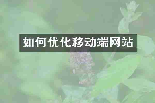 如何优化移动端网站