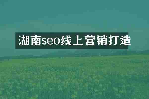 湖南seo线上营销打造