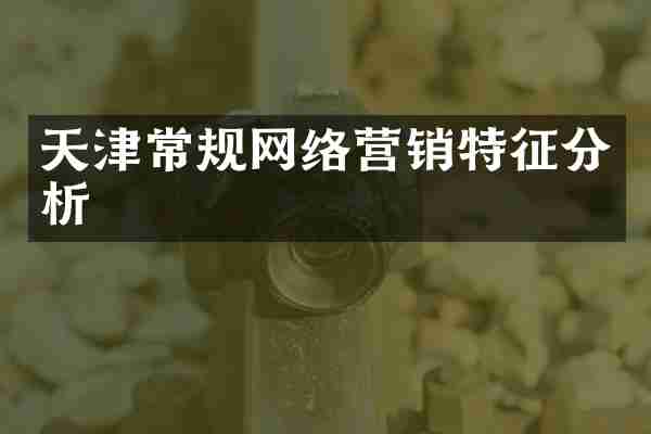 天津常规网络营销特征分析