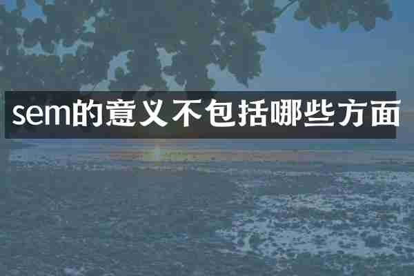 sem的意义不包括哪些方面