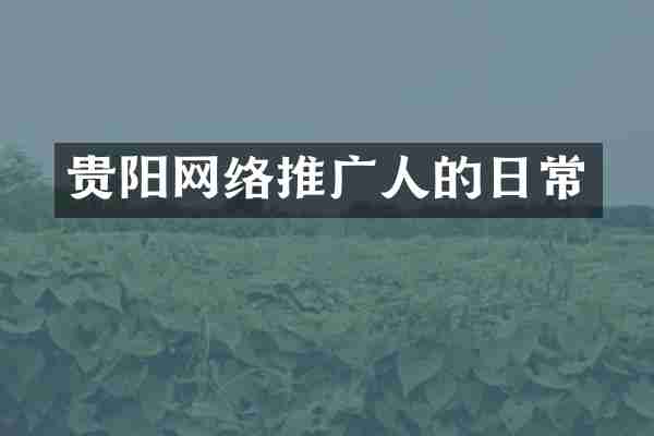 贵阳网络推广人的日常