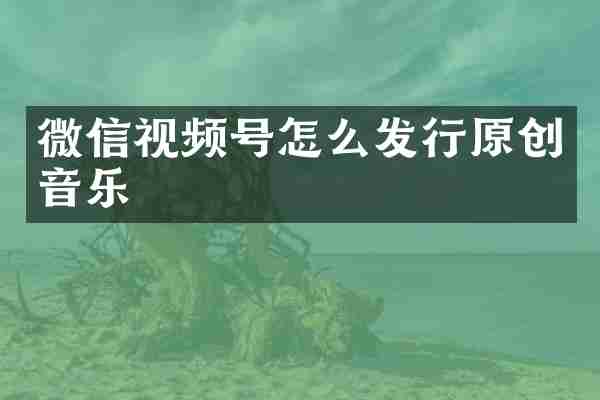 微信视频号怎么发行原创音乐