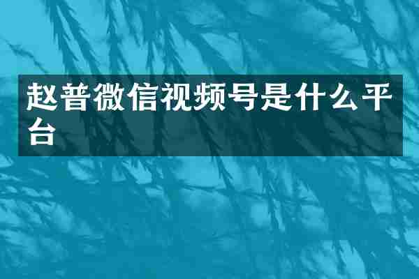 赵普微信视频号是什么平台