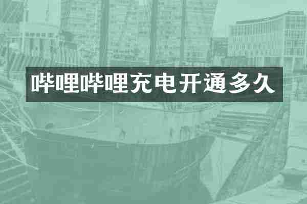 哔哩哔哩充电开通多久