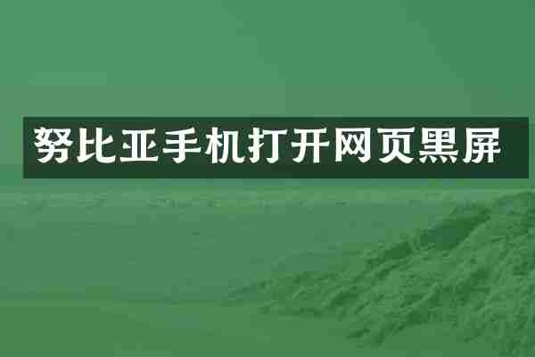 努比亚手机打开网页黑屏