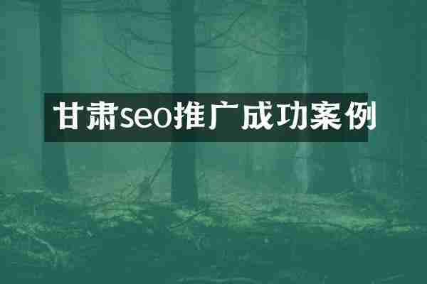 甘肃seo推广成功案例