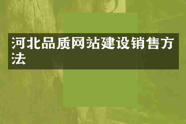 河北品质网站建设销售方法
