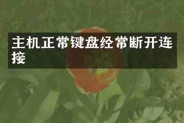 主机正常键盘经常断开连接