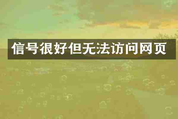 信号很好但无法访问网页