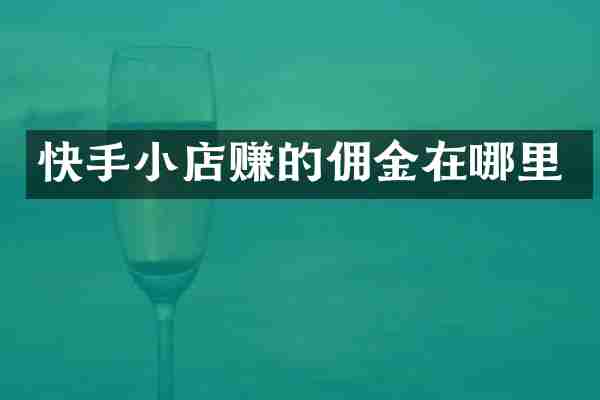 快手小店赚的佣金在哪里