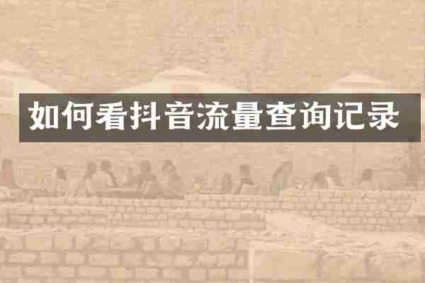 如何看抖音流量查询记录