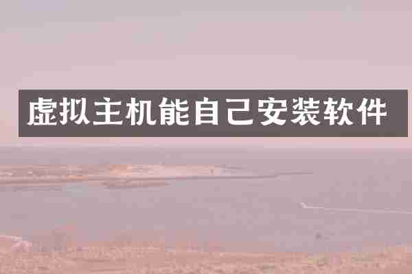 虚拟主机能自己安装软件