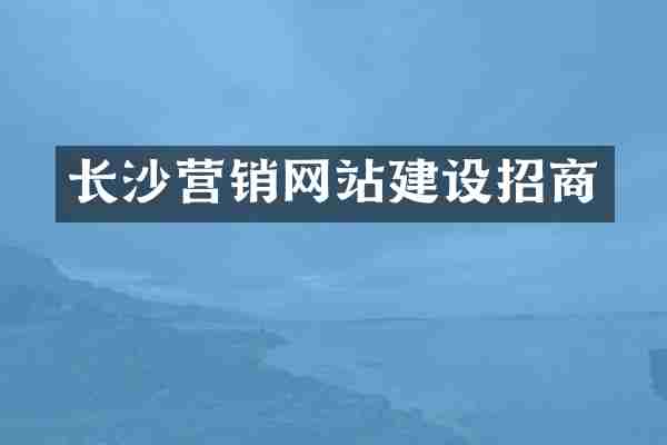 长沙营销网站建设招商