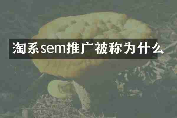 淘系sem推广被称为什么