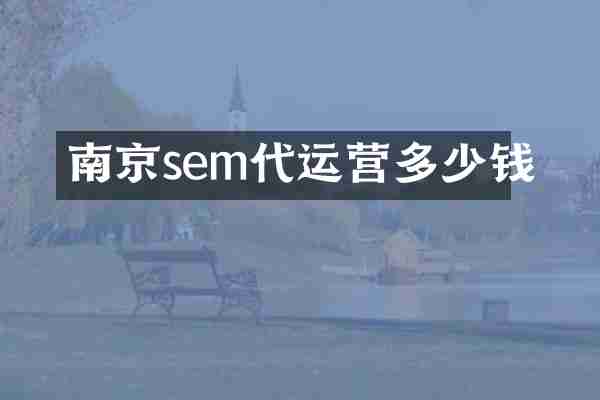 南京sem代运营多少钱